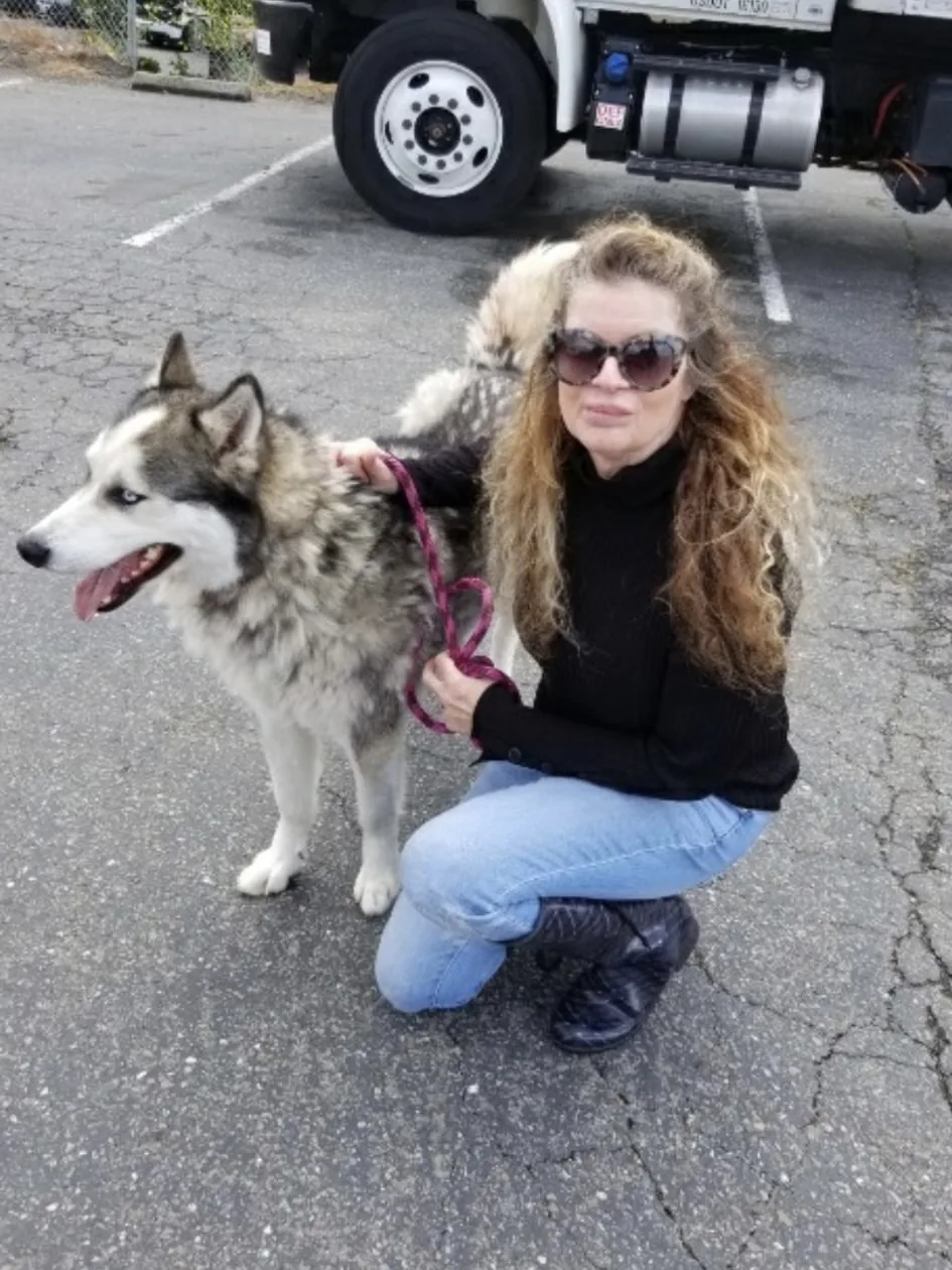 A volunteer kneeling beside a husky on a lead, in front of the transport truck